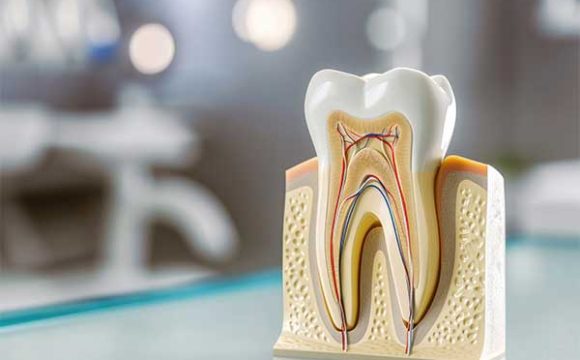 Endodontia Endodontia